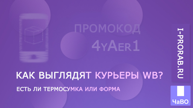 Как выглядят курьеры WB? Есть ли термосумка?